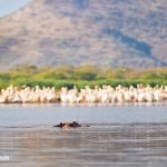lake-blog06