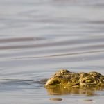 lake-blog11