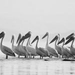 lake-blog12