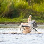 lake-blog13