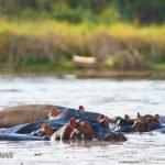 lake-blog14