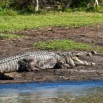 lake-blog20