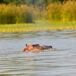 lake-blog21