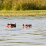lake-blog22