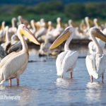 lake-blog24