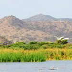 lake-blog30