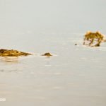 lake-blog31
